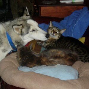 Meet your Posher, Roslyn